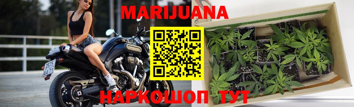 Конопля Ganja Омск